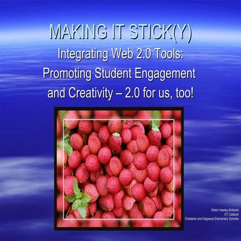 Web tools spring 2010 hawley-brillante