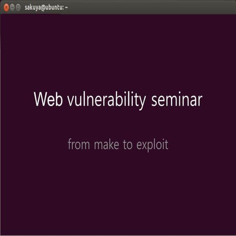 Web vulnerability seminar1