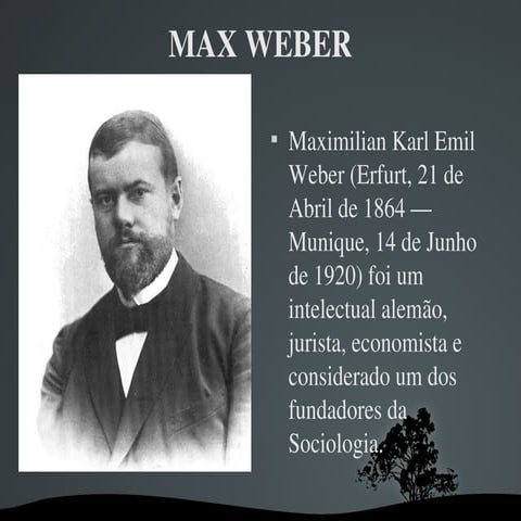 Max Weber .. Indagações 