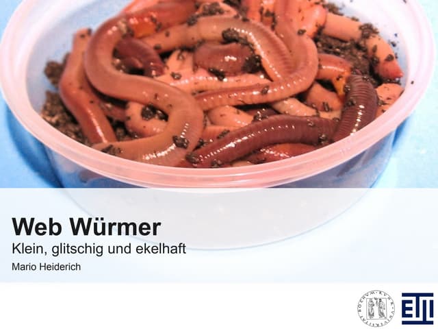 Web Wuermer