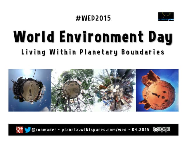 World Environment Day #wed2017