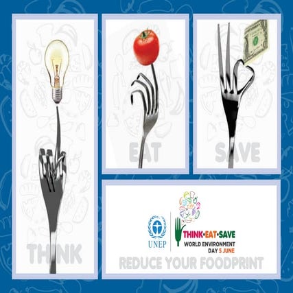 World Environment Day (June 5, 2013)