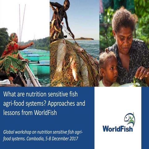 What are nutrition sensitive fish agri-food systems? Approaches and lessons f...