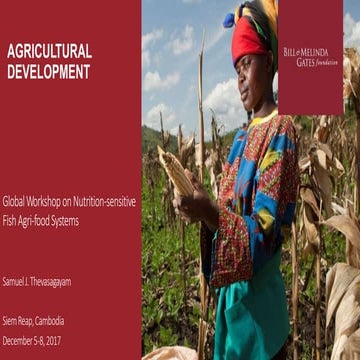 Agricultural Development 