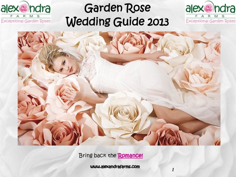 Alexandra Farms 2013 Garden Rose Wedding Guide