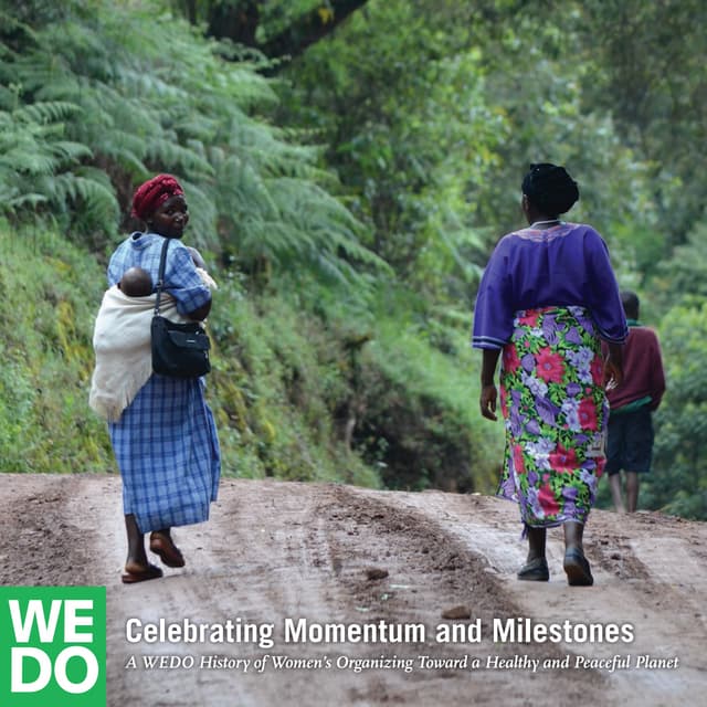 WEDO Celebrating Momentum and Milestones