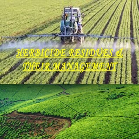 HERBICIDE RESIDUES & THEIR MANAGEMENT
