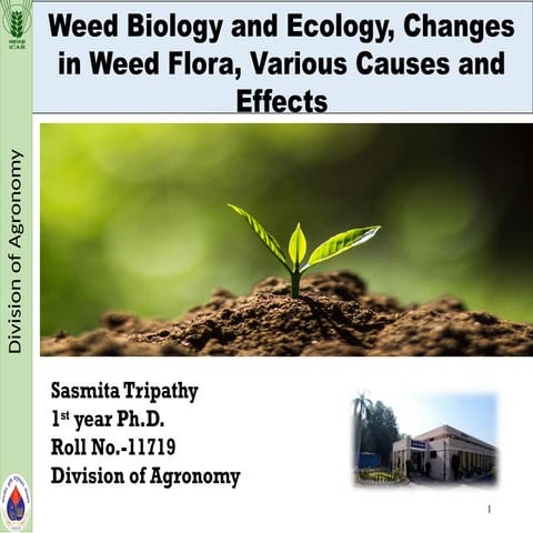 Saamita Tripathy iari Weed assignment.pptx