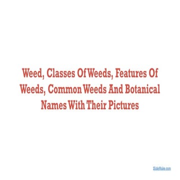 Weed, Classes Of Weeds, Features Of Weeds, Common Weeds And Botanical ...