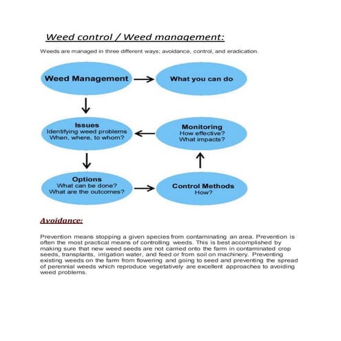 Weed control in vegetables.