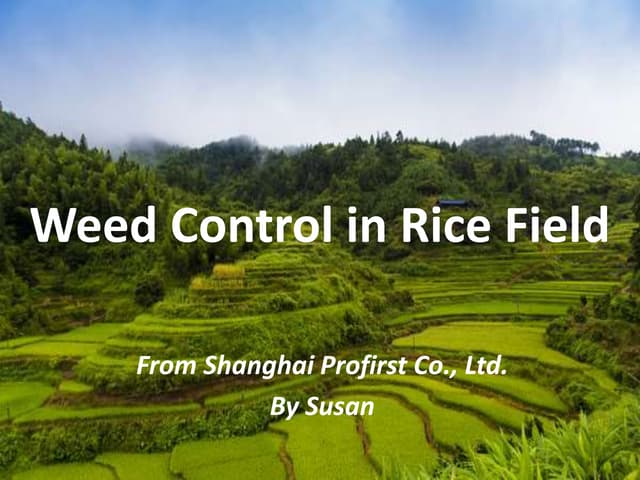 Weed Control in Rice Field