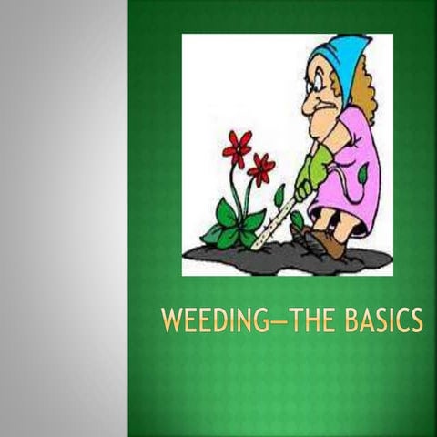 NCompass Live: Weeding Your Library Collection