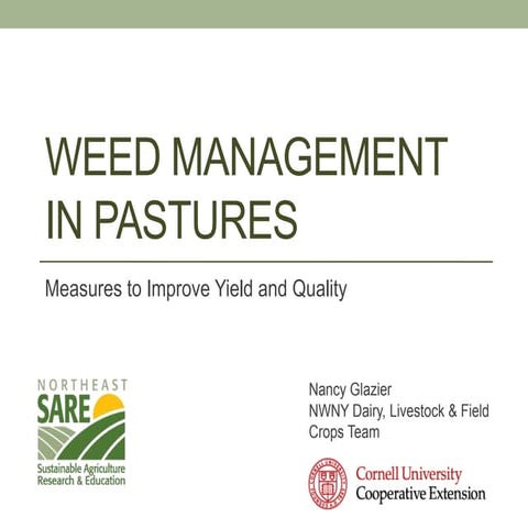 Weed management in pastures