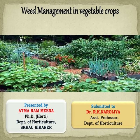Weed mgt in_vetatables - 