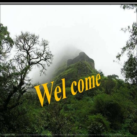 Weed Management in Organic Crop Production