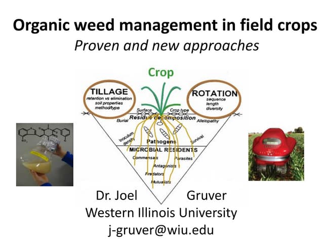 Organic weed management: proven and new approaches