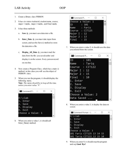 Object Oriented Programming - Lab Activity | PDF