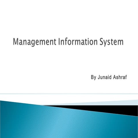 Management Information System Types