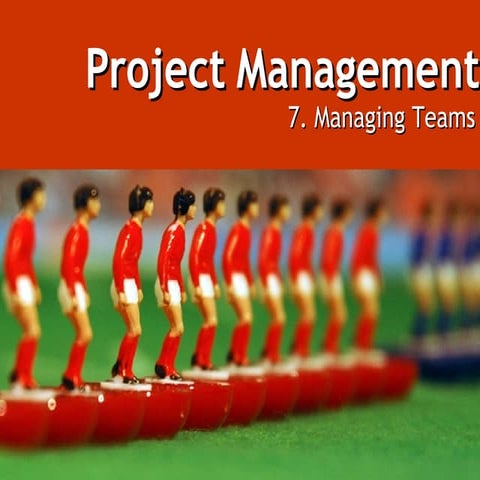The Project Management Process - Week 7   Managing Teams