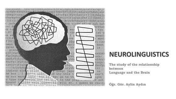 language and brain | PPT