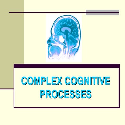 Week 12 -  Complex Cognitive