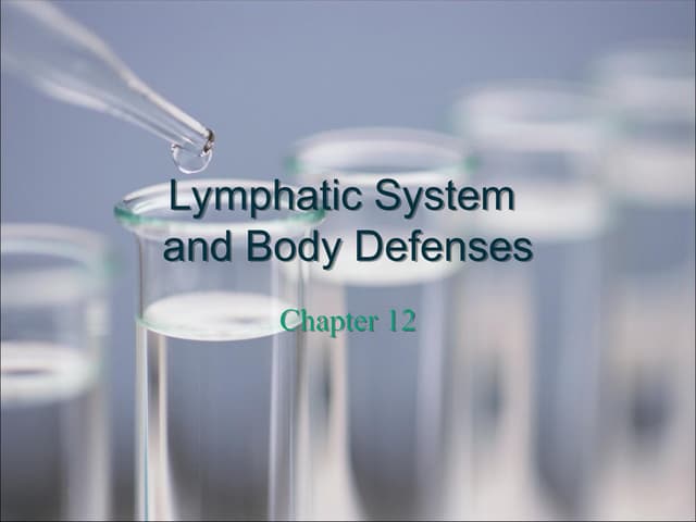 Lymphatic system PowerPoint slides for university