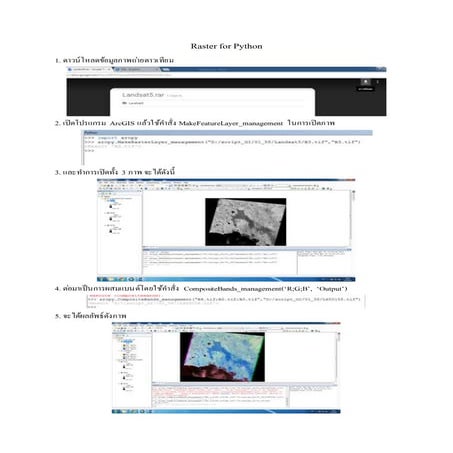 Raster for Python | DOCX