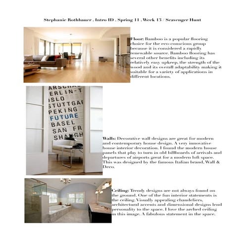 Week 13-  Stephanie Rothbauer