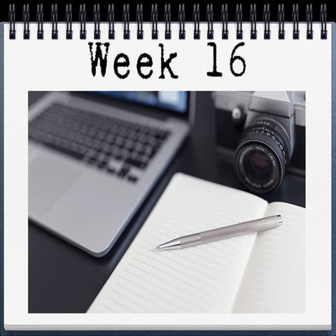 Week 16