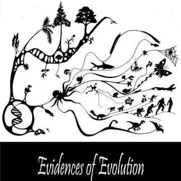 EVIDENCE OF EVOLUTION, ORIGIN OF LIFE, ORIGIN OF HUMAN_ELS.pptx