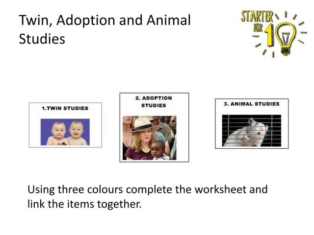 AS Week 17 Animal Studies and Brain Scans