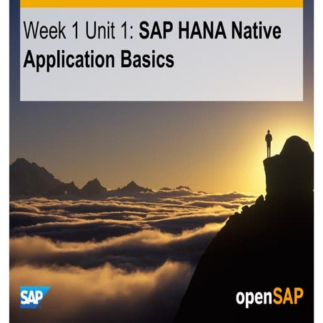 Week 1 unit 1to5 sap hana native application basics
