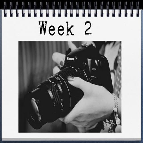 Week 2