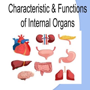 Functions of internal organs