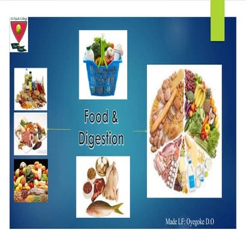 Food and Digestion