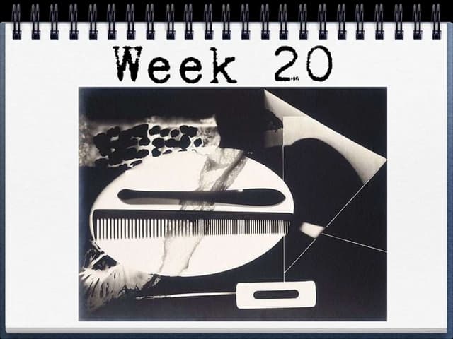 Week 20