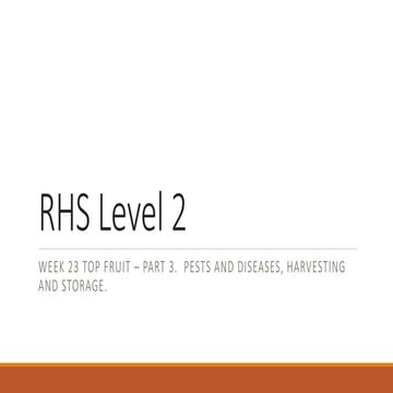 Week 23 part 3 | PPT