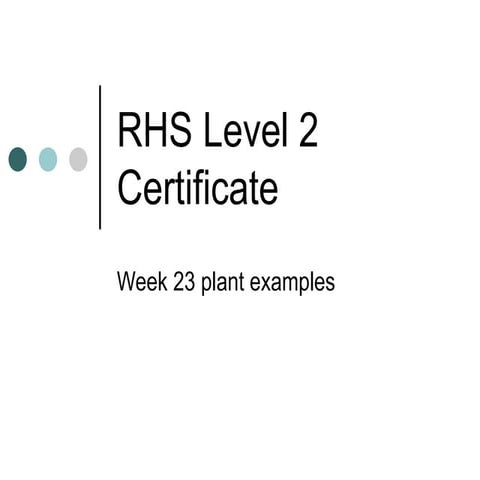 Week 23 plant examples