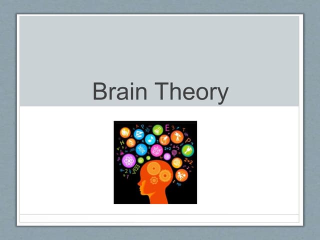 Week 2 brain theory