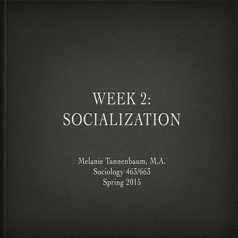 SOC 463/663 (Social Psych of Education) - Socialization