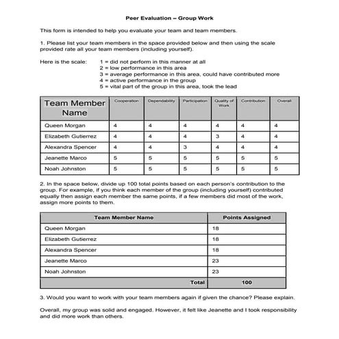 Peer Feedback Sheet