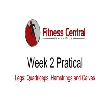 Week 2 pratical legs