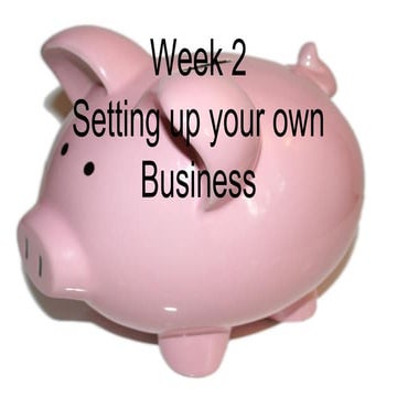 Week 2 setting up your own business