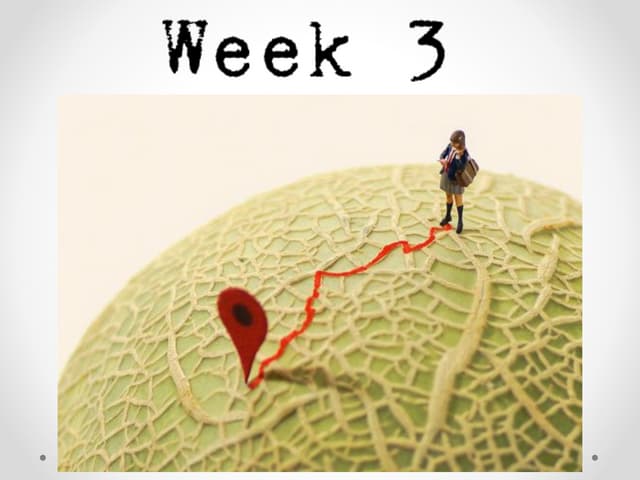 Week 3