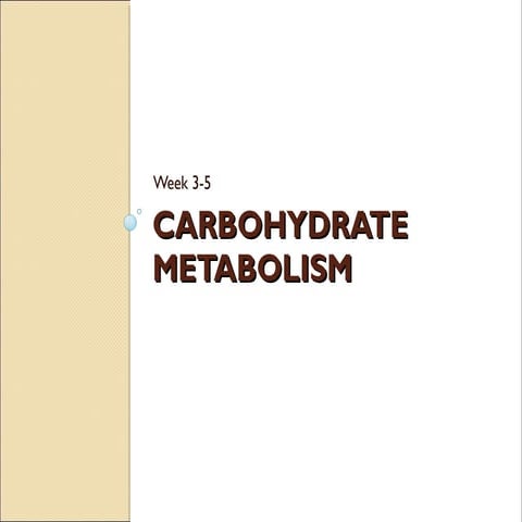 carbohydrate metabolism