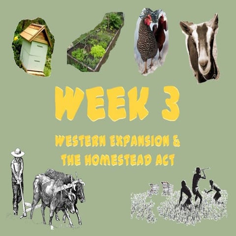Week 3 - Western Expansion and Homestead Act