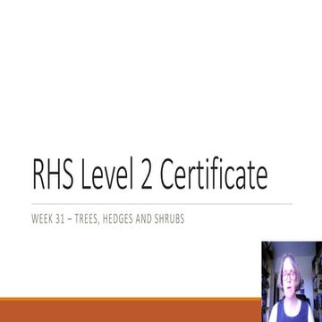 Week 31 on line introduction