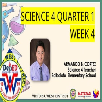 WEEK 4.pptx powerpoint presentation for grade 6 first quarter week 4 | PPTX