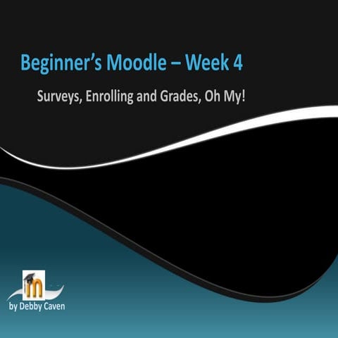Week 4 Beginner's Moodle