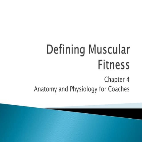 Week 4  defining muscular fitness